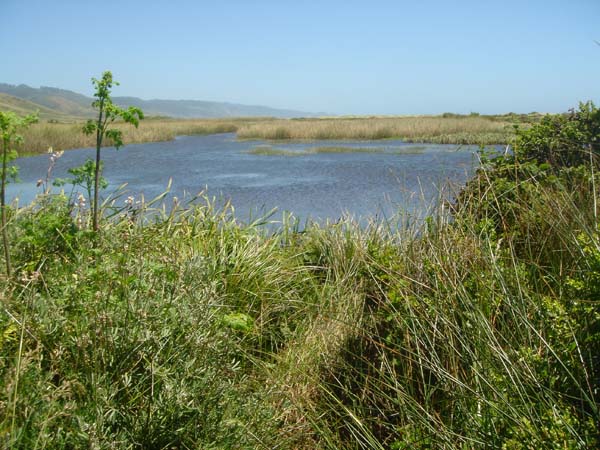 DSC01419