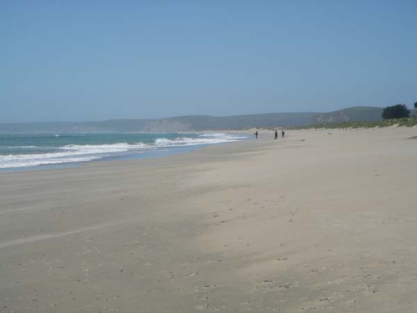DSC01425