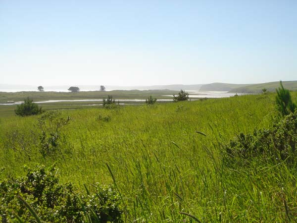 DSC01442