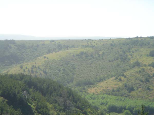 DSC01446