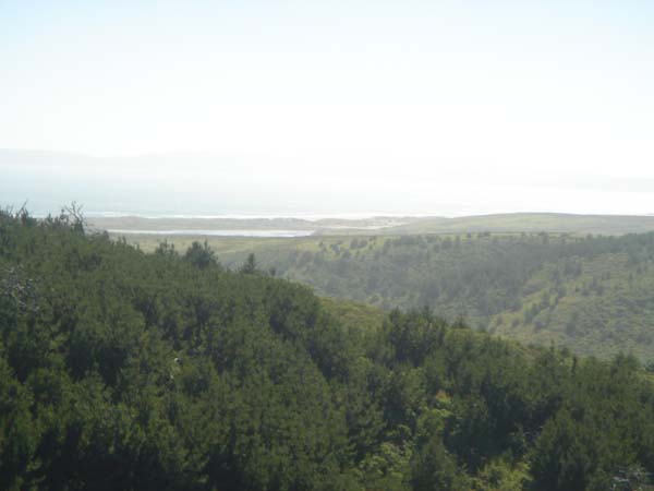 DSC01447