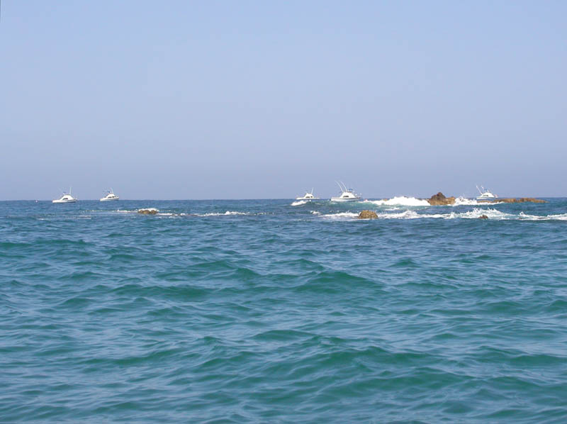 P5270039