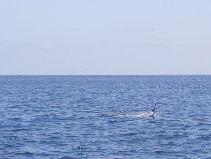 P5280016_1