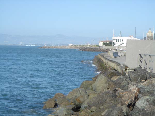 DSC01579