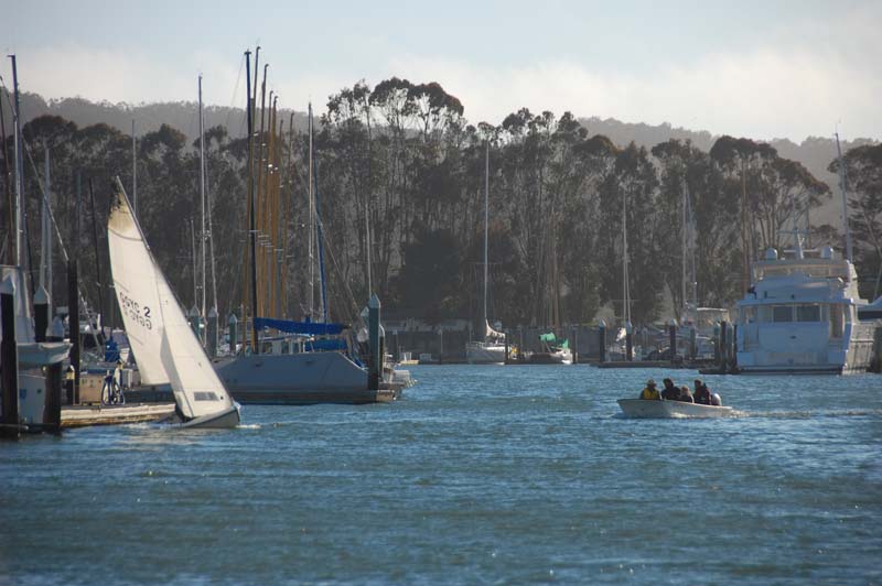 DSC_1219