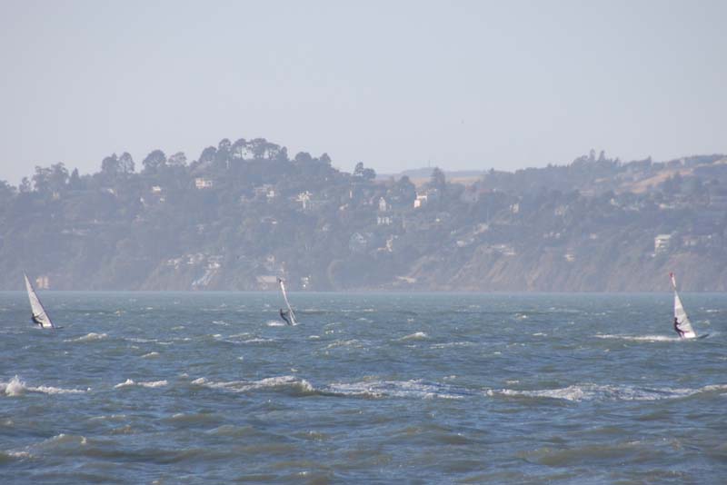 DSC_1355