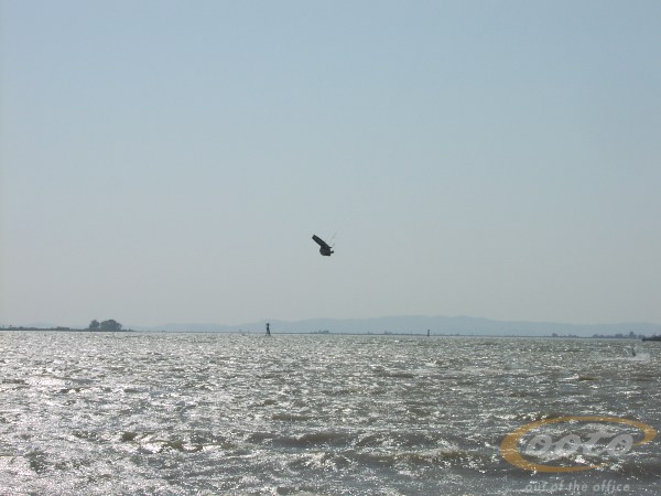 P1010004_1