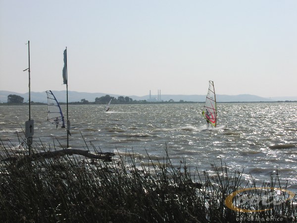P1010034_1