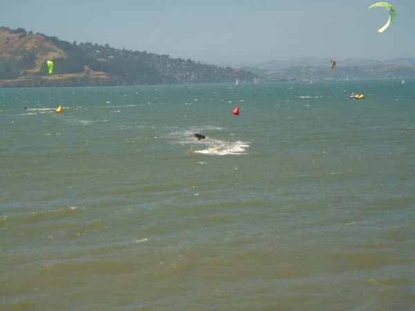 DSC01730