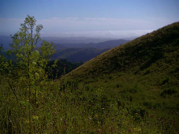 PICT0021