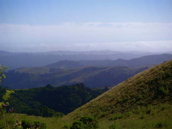 PICT0022