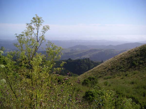 PICT0023