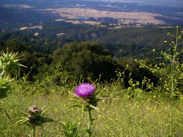 PICT0032