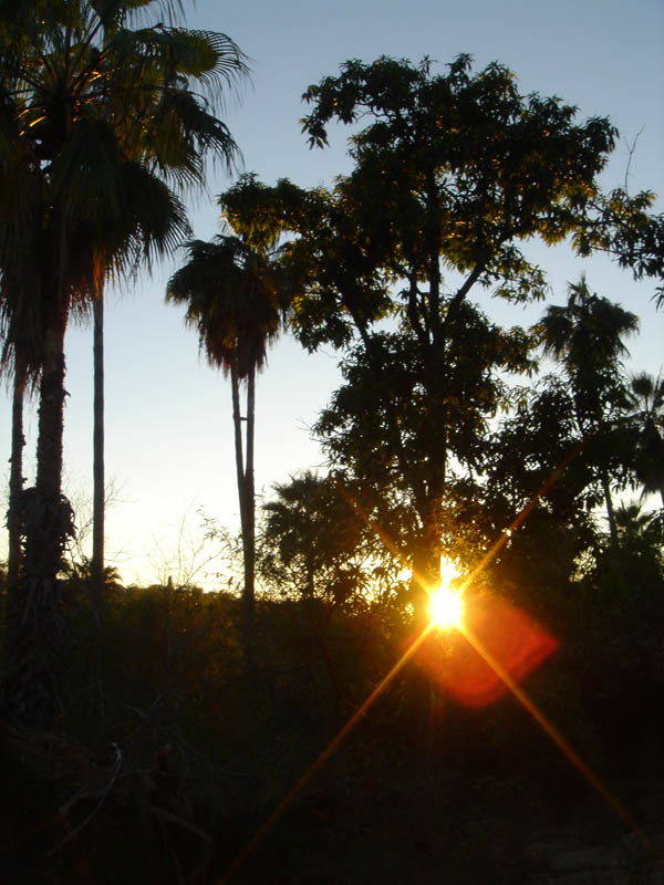 DSC00331