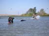 PICT0072