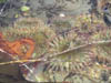 062704 108
