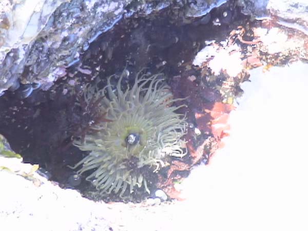 DSC00040