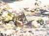 DSC00037
