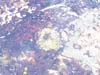 DSC00043