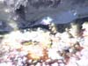 DSC00044