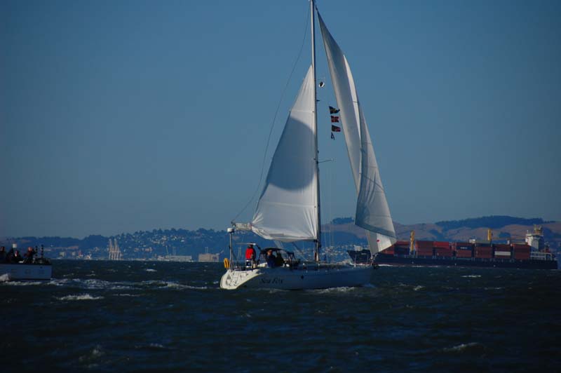 DSC_0339