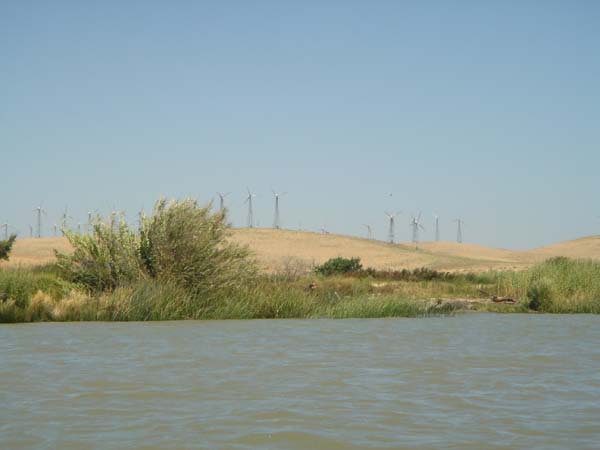 DSC01895