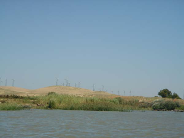 DSC01896