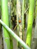 DSC01888