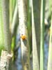 DSC01890