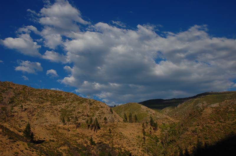 DSC_0950
