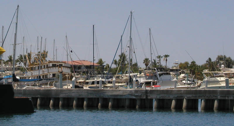 P7110036_1