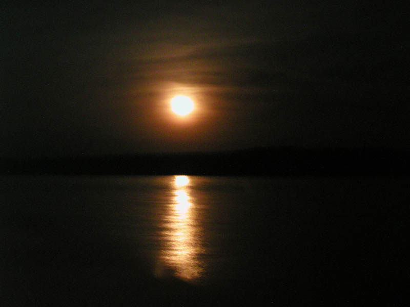 P7120008_1
