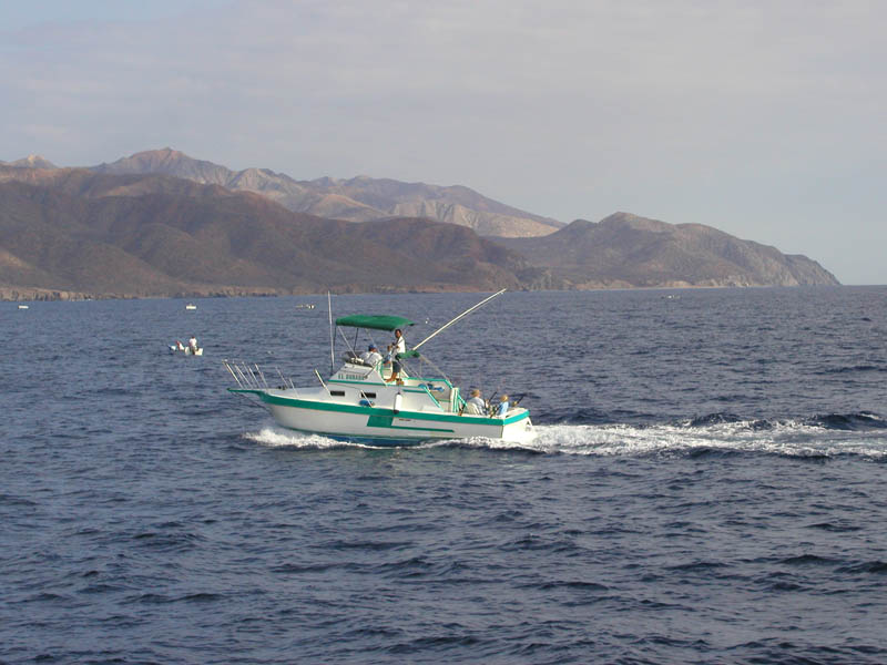 P7120022_1