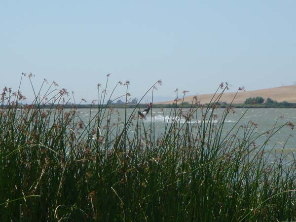 DSC02020