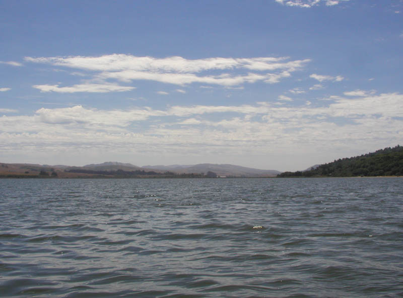 P7290034