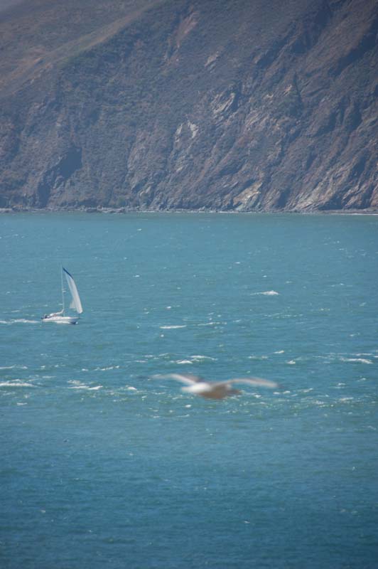 DSC_2733