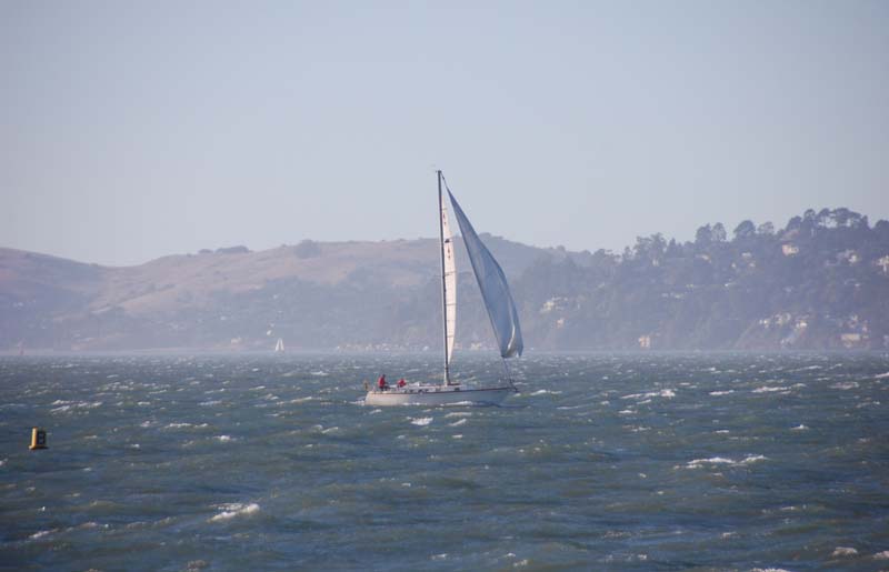 DSC_2820