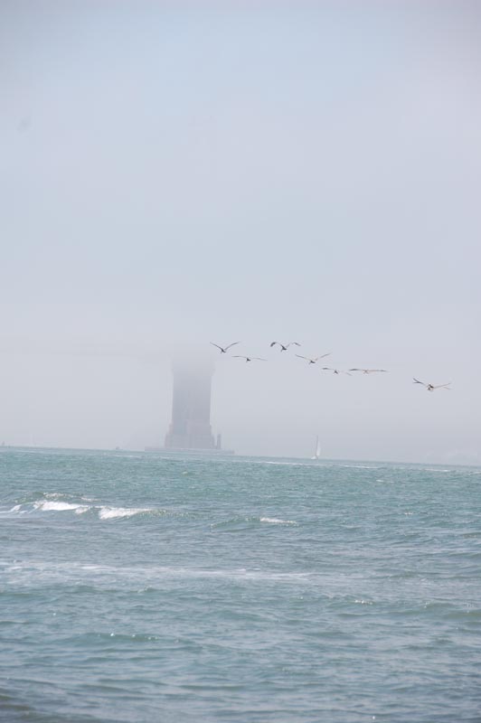 DSC_6177