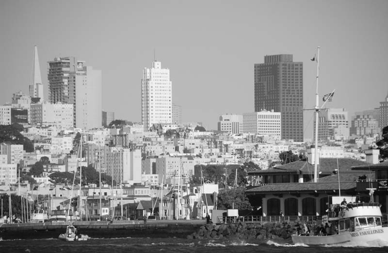 DSC_3252