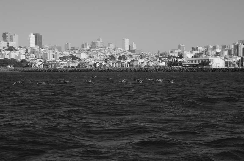 DSC_3338