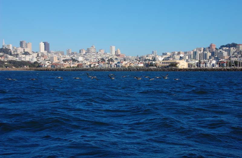 DSC_3339
