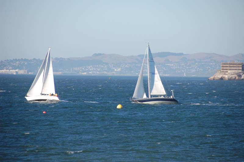 DSC_3366