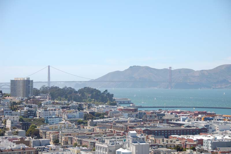 DSC_3421