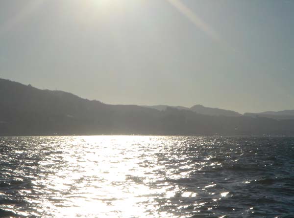 DSC02151