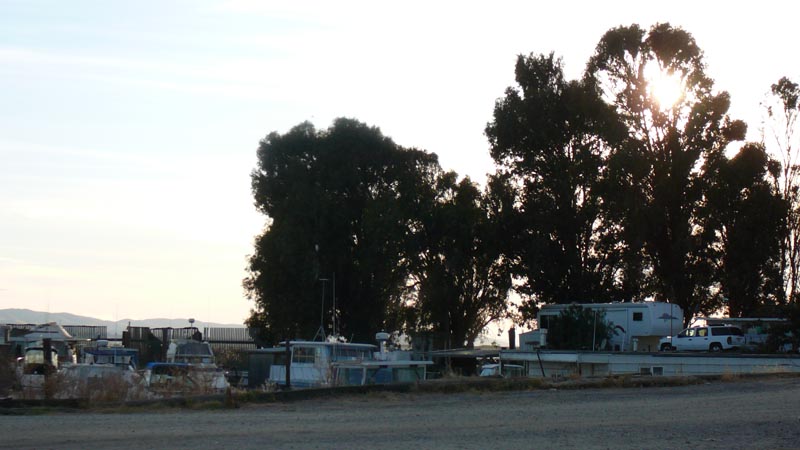 P1130459