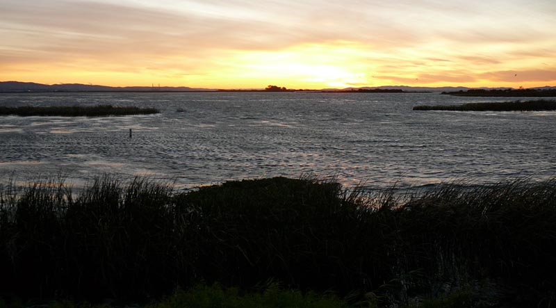 P1130468