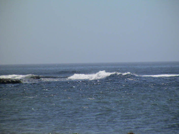 090804 029
