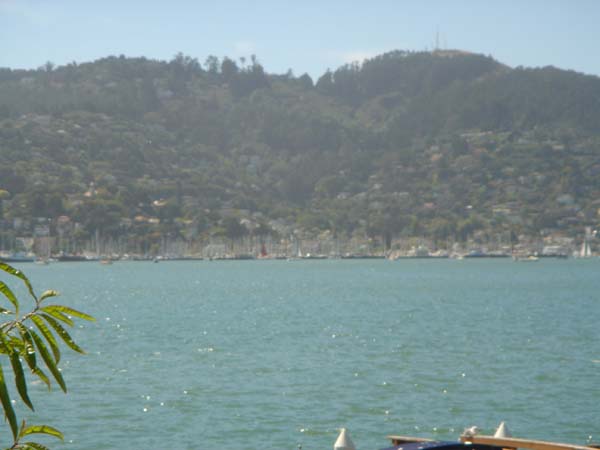 DSC02239
