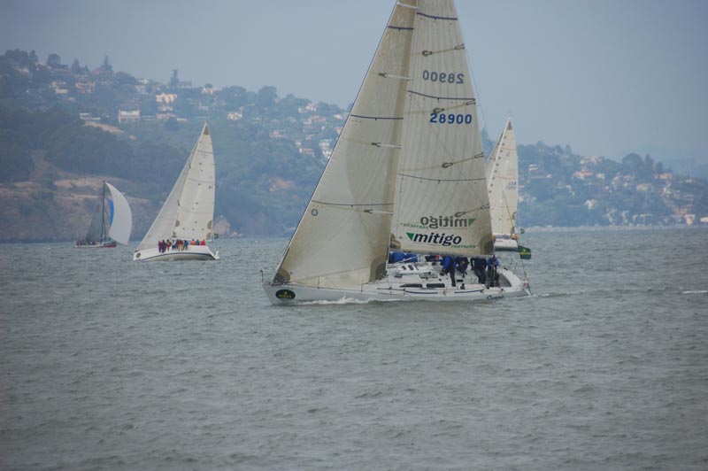 DSC_3175