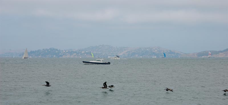 DSC_3180